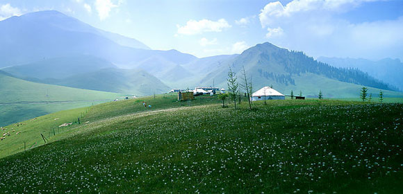 南山牧场