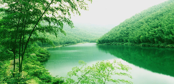 南山竹海