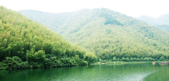南山竹海