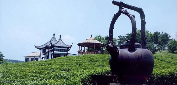 天目茶苑