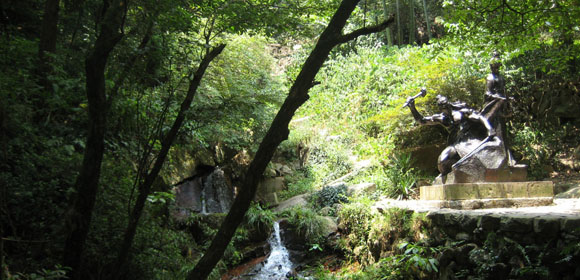莫干山芦花荡公园