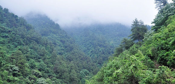 大奇山