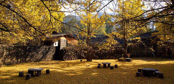 腾冲秋景