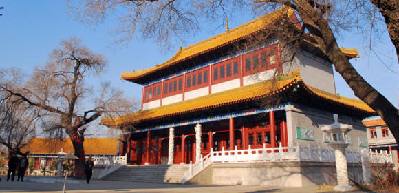 齐齐哈尔4