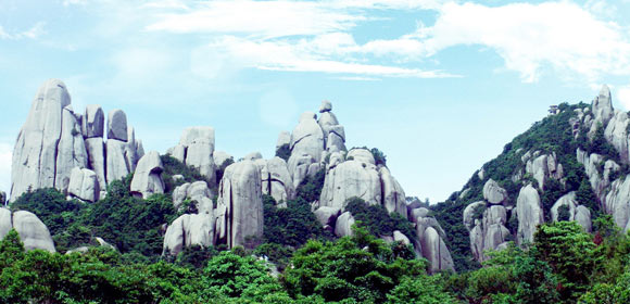 福鼎1